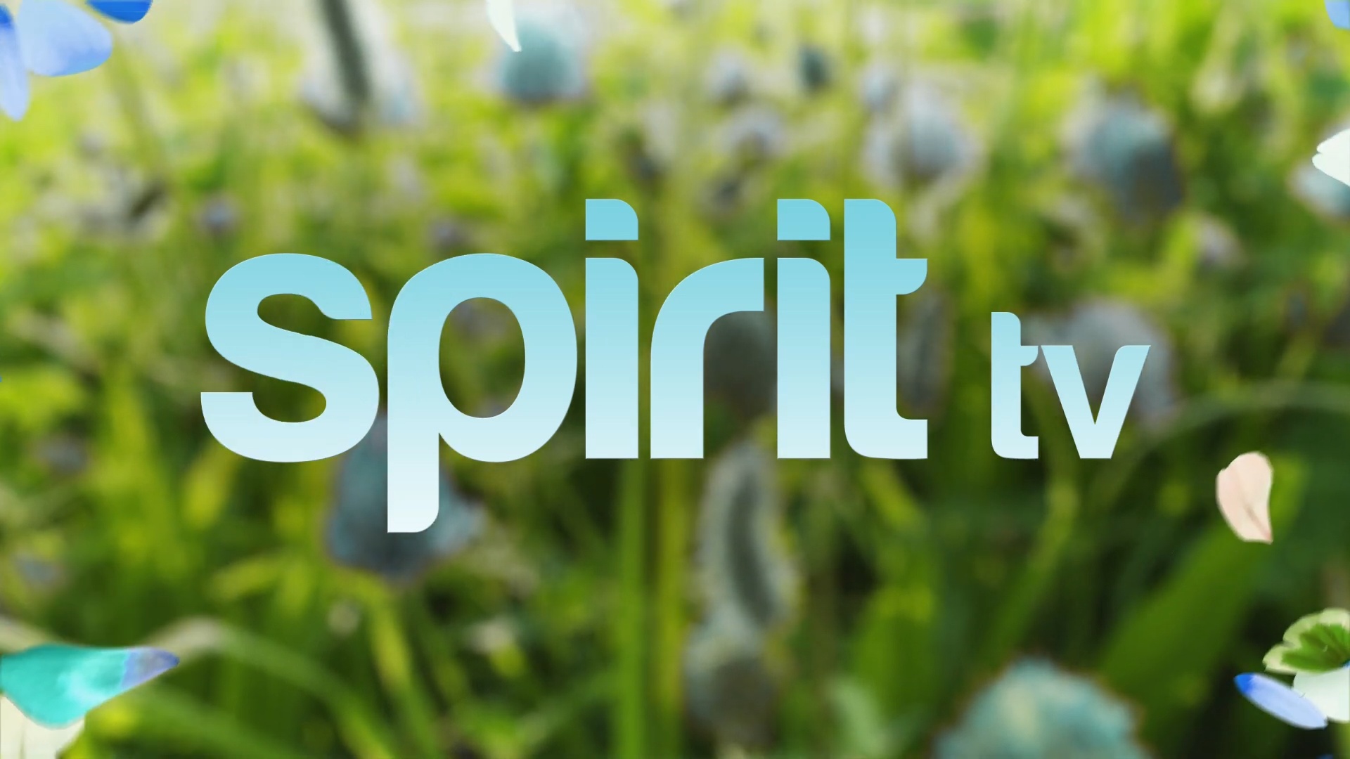 Spirit tv 3